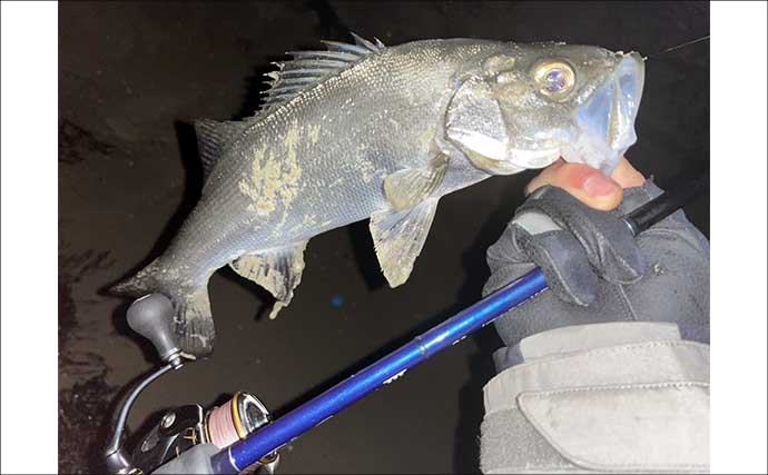 地磯でのメバリングで五目達成！【山口】フロートリグで遠投＆シャローを狙う