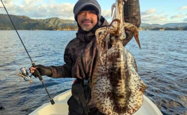 「風が吹けばチャンス到来！」レンタルボートのティップランでアオリイカ好…