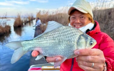 吉田康雄のザ・チャレンジへらぶな【流れ川で美ベラ狙い#4】