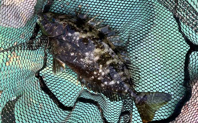 「釣りに目覚まし時計が必須？」 カカリ釣りであって良かったもの3選