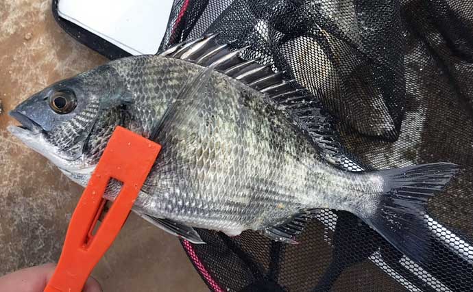 「釣りに目覚まし時計が必須？」 カカリ釣りであって良かったもの3選