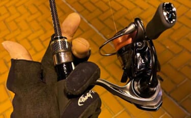 ロッド（釣竿）とリールどちらからお金をかけるべき？　分かりやすさならリ…