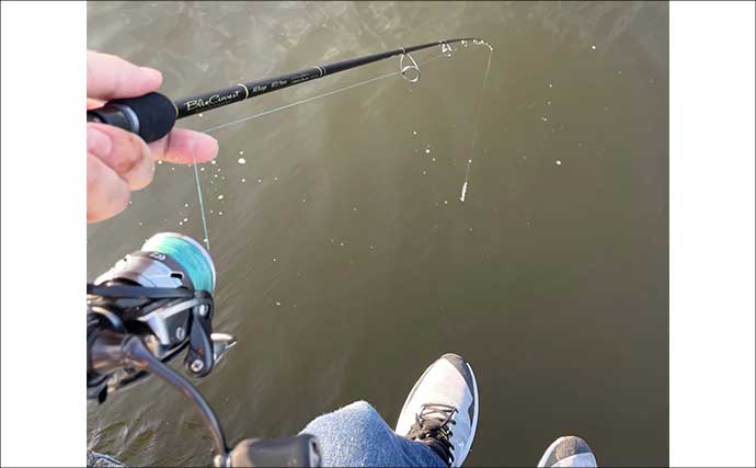 ロッド（釣竿）とリールどちらからお金をかけるべき？　分かりやすさならリールか