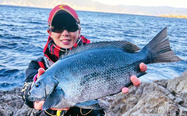 気温は低いけど心はホカホカ！」 磯フカセ釣りで40cm超え頭に良型クロ