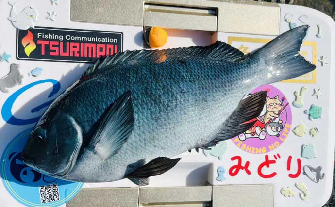 「気温は低いけど心はホカホカ！」 磯フカセ釣りで40cm超え頭に良型クロ連発