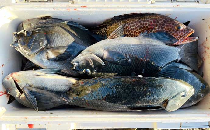 「気温は低いけど心はホカホカ！」 磯フカセ釣りで40cm超え頭に良型クロ連発