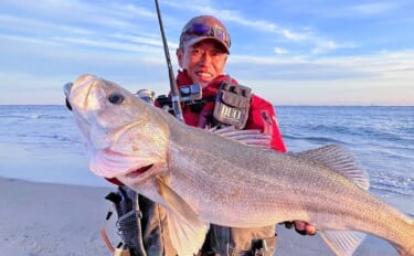 遠州灘サーフゲームでランカーシーバス80cm登場【愛知県・田原】マゴチ…