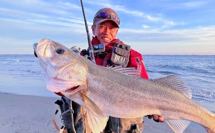 遠州灘サーフゲームでランカーシーバス80cm登場【愛知県・田原】マゴチも交え3魚種達成