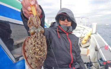 シーズン初期の伊勢湾でコウイカ釣り好調【愛知・南知多】3連続ヒット含め…