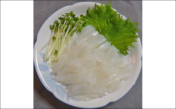 シーズン初期の伊勢湾でコウイカ釣り好調【愛知・南知多】3連続ヒット含め6匹キャッチ