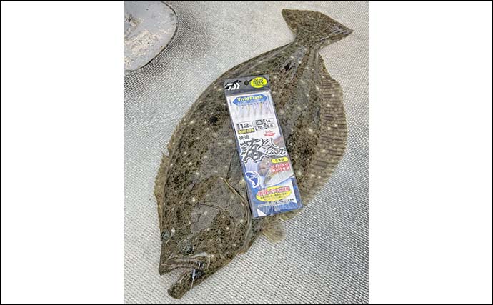 糸島半島沖の泳がせ釣りで70cm級ヤズ手中【福岡・幸風】良型ヒラメ＆アコウもヒット