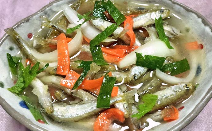 「寒さ知らずのドーム船で束釣り連発！」諏訪湖ワカサギ483匹の快釣【長野】