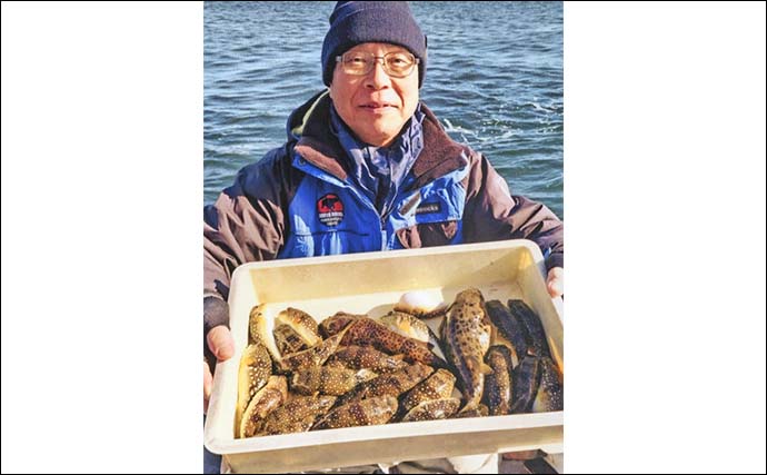 カットウ釣りでフグ26匹キャッチ！【愛知・石川丸】バナメイエビに好反応でリベンジ成功