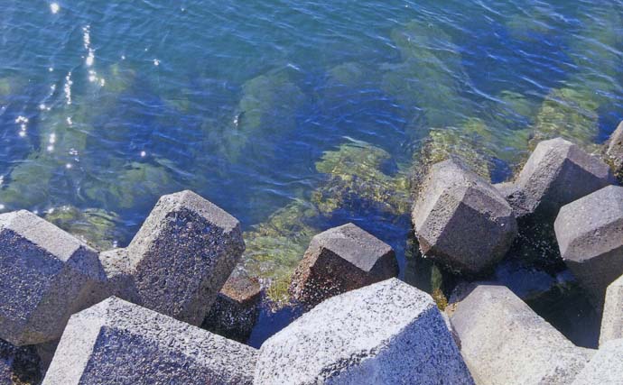 厳寒期の穴釣りでカサゴ2匹手中【三重・河芸漁港】貸し切り堤防をランガン攻略