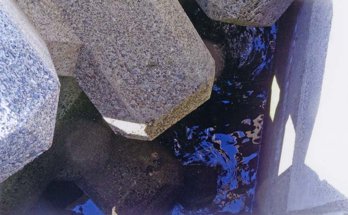 厳寒期の穴釣りでカサゴ2匹手中【三重・河芸漁港】貸し切り堤防をランガン攻略