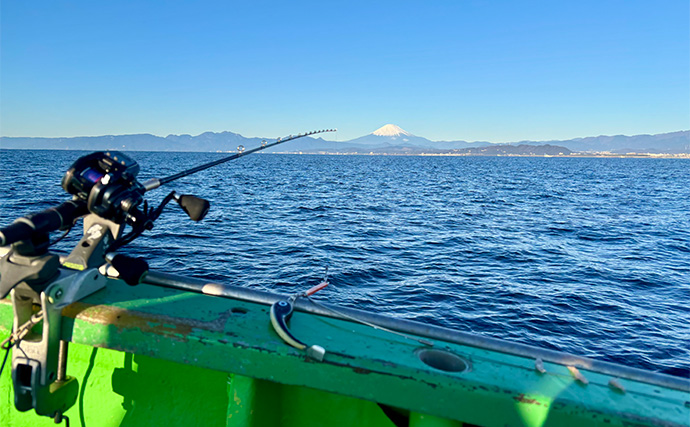 乗船者15名全員がアマダイをキャッチ！【ちがさき丸】相模湾アマダイ釣りが活況