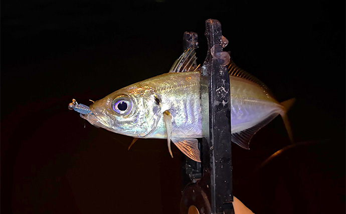 ライトゲームにおける潮止まり打開策　リグの小型＆軽量化が決め手か