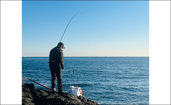 沖磯フカセ釣りで37cmクロを好捕！【大分・大和丸】30cm級クロは入れ食い