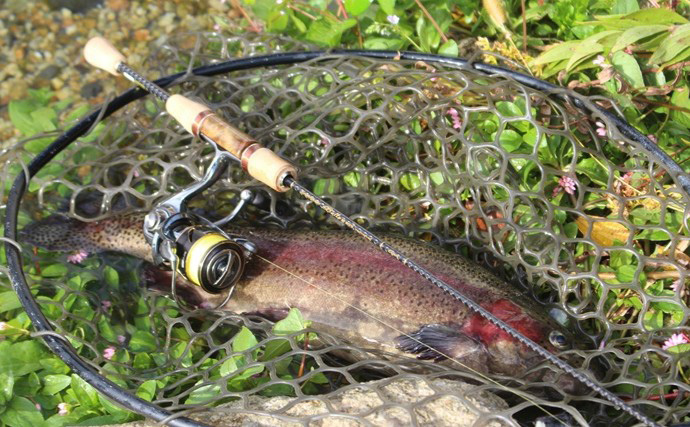 『26ベレッツァ・プロトタイプ』を実釣検証　通い込みアングラーが語るエリアトラウトロッドの使い分け