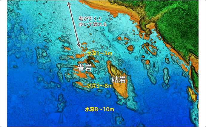 「海の中で出会ったヌシ魚に惚れた！」 磯で潜水してどんな魚がいるか調べてみた