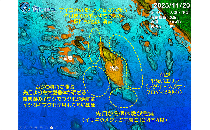 「海の中で出会ったヌシ魚に惚れた！」 磯で潜水してどんな魚がいるか調べてみた
