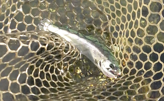 『26ベレッツァ・プロトタイプ』を実釣検証　通い込みアングラーが語るエリアトラウトロッドの使い分け