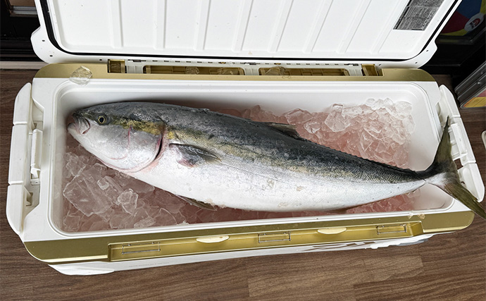 寒さと「無の時間」を耐え抜き10kg超え寒ブリを捕獲！【里輝丸】電気ブリ釣りでヒット