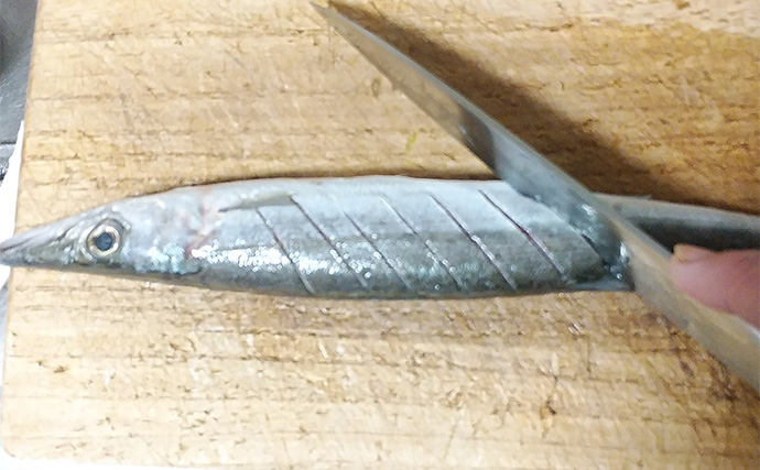 釣魚で作る「シンプル」レシピ：カマスの素焼き（白焼き）　素材の味活かす