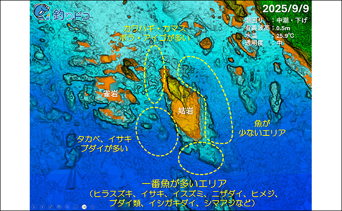 「海の中で出会ったヌシ魚に惚れた！」 磯で潜水してどんな魚がいるか調べてみた