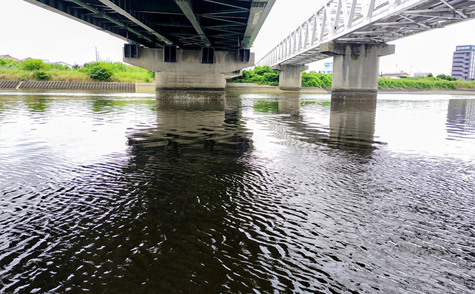 「冬の河川が熱すぎる！」80cm級大型シーバスが連発【養老川】 想定外のマゴチも登場