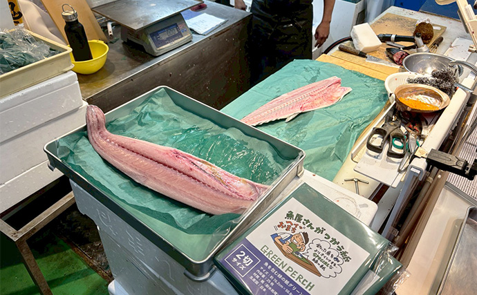 「魚は包み方で味が変わるってホント？」　実験したら【緑の紙】の実力が半端なかった