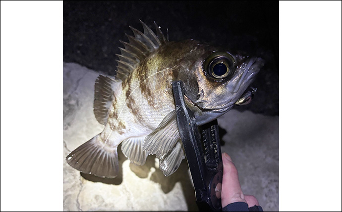 「集中力が切れると大型魚が釣れる？」 狙うとなぜか釣れない釣りアルアル