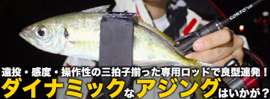 「遠投・感度・操作性の三拍子が揃った！」26コルトで沖堤アジングを攻略成功【兵庫・志筑一文字】