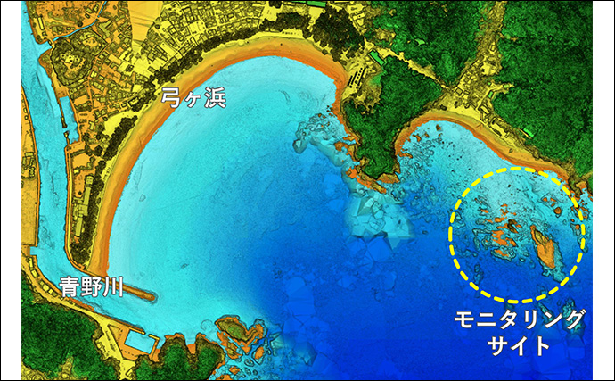 「海の中で出会ったヌシ魚に惚れた！」 磯で潜水してどんな魚がいるか調べてみた