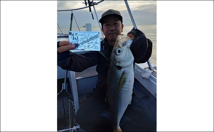 53cmの超大型アジお目見え！【大阪】バチコンアジングで良型アジが続々登場