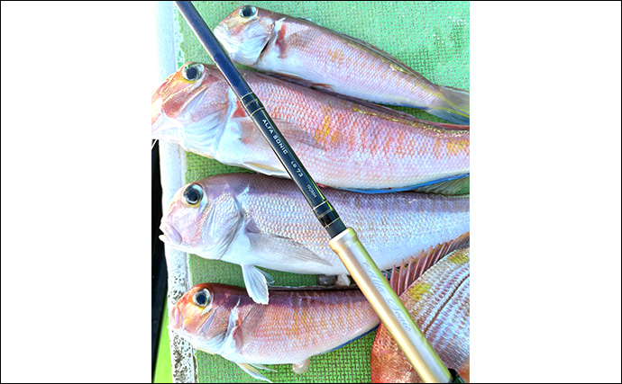 乗船者15名全員がアマダイをキャッチ！【ちがさき丸】相模湾アマダイ釣りが活況