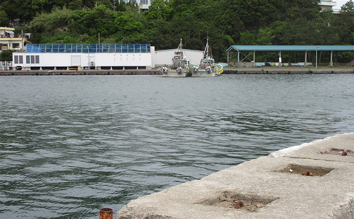 「冬はキス釣りオフシーズン」は間違い！　厳寒期の投げ釣りのポイントと楽しみ方を解説