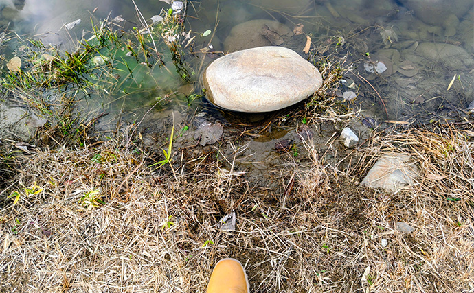 「エリアトラウトシーズン本格化！」日本ラインマス釣り場で快適釣行を満喫