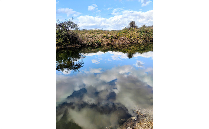 「エリアトラウトシーズン本格化！」日本ラインマス釣り場で快適釣行を満喫