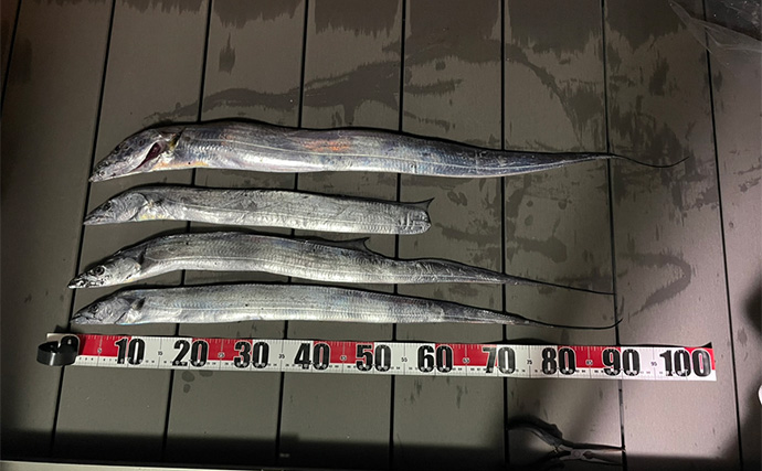 三保サーフでのショアジギングでF5クラス良型タチウオをゲット！【静岡】