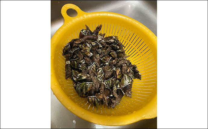 釣りで何も釣れなかった時の【カメノテ採取のススメ】　採り方・調理法・食べ方を紹介