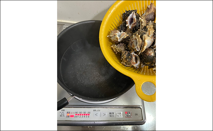 関東ではあまり見かけないけど関西ではメジャーな『ミヤコボラガイ』はとても美味