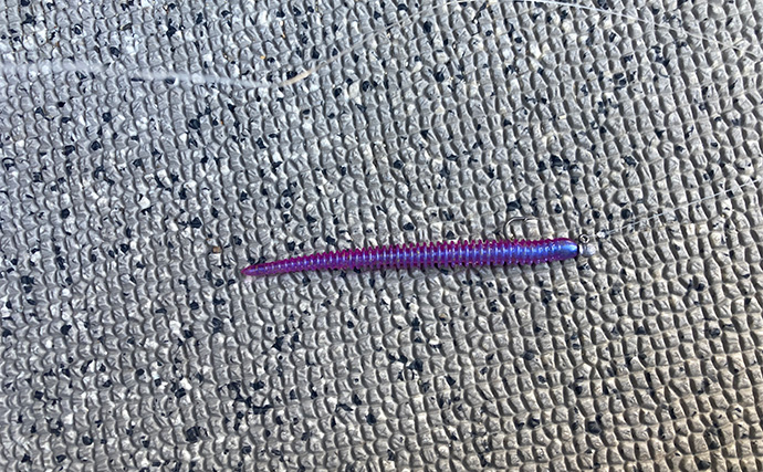 53cmの超大型アジお目見え！【大阪】バチコンアジングで良型アジが続々登場