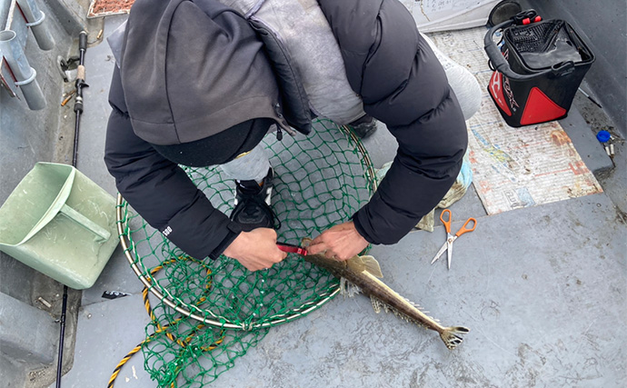 ハゼを使った泳がせ釣りで48cmマゴチをキャッチ【三重】魚礁周りの水深12mでヒット