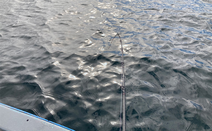 ハゼを使った泳がせ釣りで48cmマゴチをキャッチ【三重】魚礁周りの水深12mでヒット