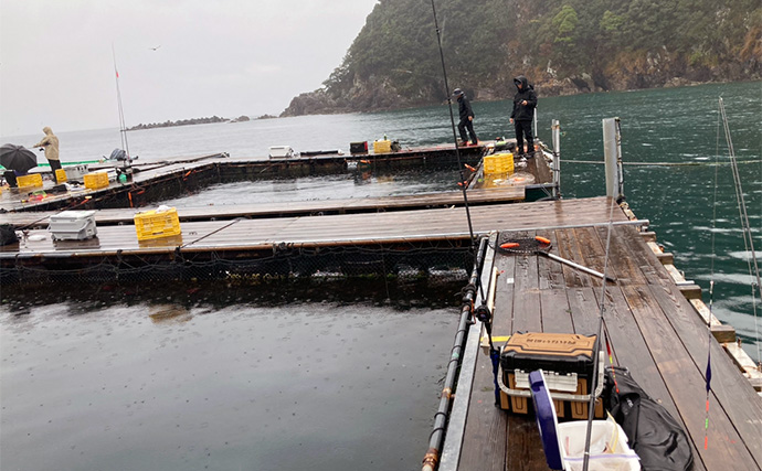 仲間と貸切で海上釣り堀を満喫【正徳丸】青物不発もマダイ・シマアジ・ヒラメを手中