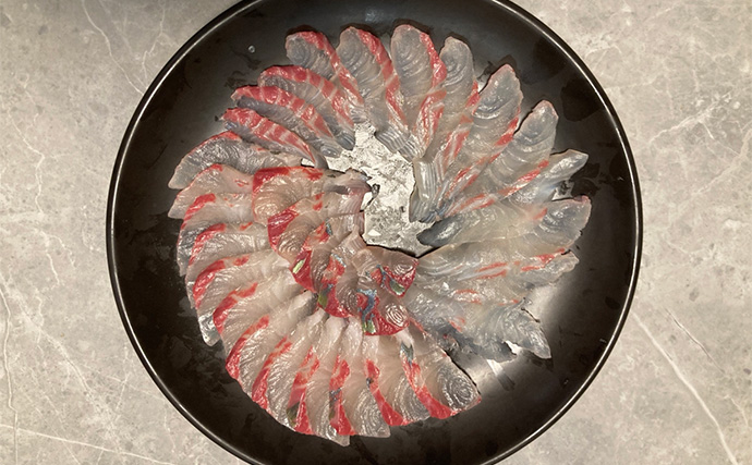 仲間と貸切で海上釣り堀を満喫【正徳丸】青物不発もマダイ・シマアジ・ヒラメを手中