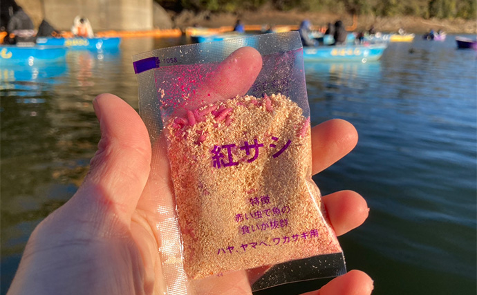 入鹿池ボートワカサギ釣りが絶好調！【愛知】魚影濃く本命638匹を手中