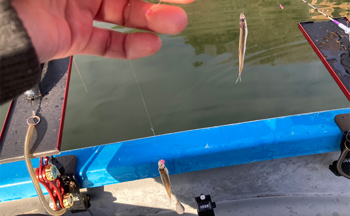 入鹿池ボートワカサギ釣りが絶好調！【愛知】魚影濃く本命638匹を手中