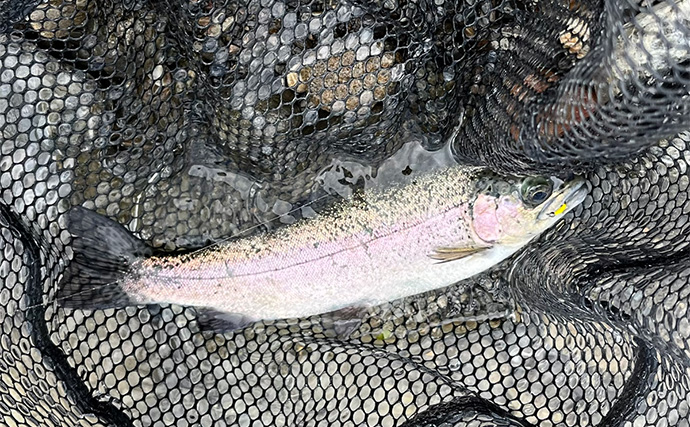 電車での管理釣り場釣行は小旅行気分？　フライフィッシングでニジマス25匹好捕
